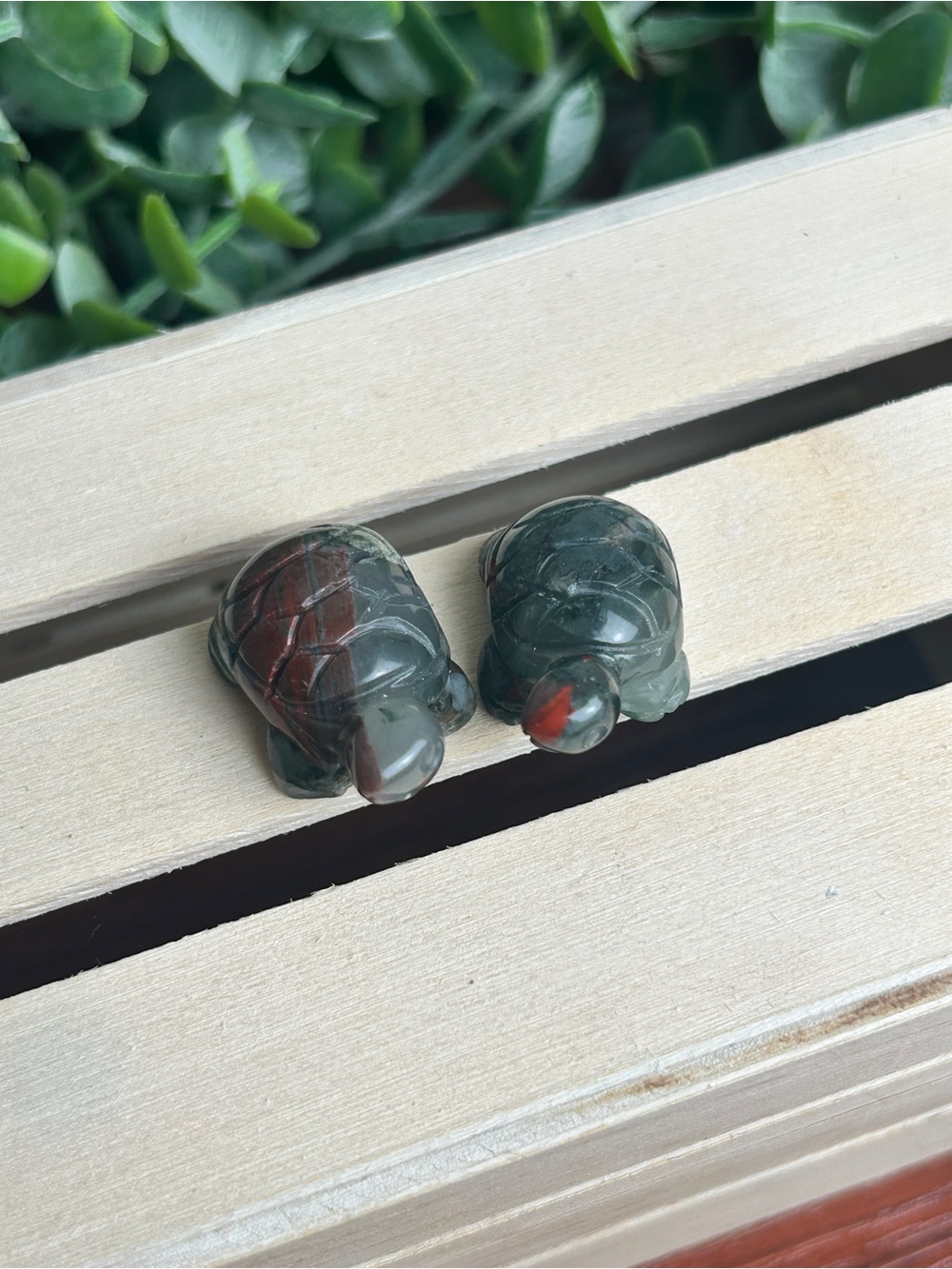 Set of 2 Mini Hand-Carved Bloodstone Turtle Figurines